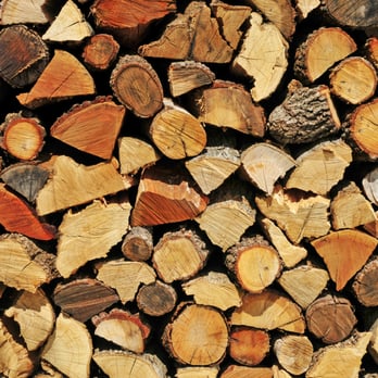 Ken Lamb Tree Service - Tree Services Near Me - Fredericksburg, Virginia Ken Lamb Tree Service - Tree Services Near Me - Fredericksburg, Virginia