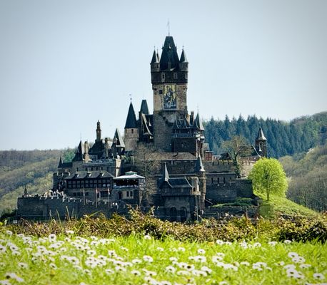 Cochem Castle by null