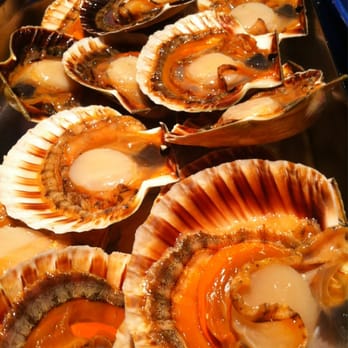 The Waterfront @ Het Bosch - Vandaag zijn er weer vers hand gedoken Noorse coquilles! - Lounges Near Me - Amsterdam, New Hampshire The Waterfront @ Het Bosch - Vandaag zijn er weer vers hand gedoken Noorse coquilles! - Lounges Near Me - Amsterdam, New Hampshire