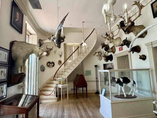 Connecticut's Old State House by null