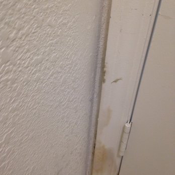 Desert Sands Apartments - Mold on door - Apartments Near Me - Casa Grande, Arizona Desert Sands Apartments - Mold on door - Apartments Near Me - Casa Grande, Arizona