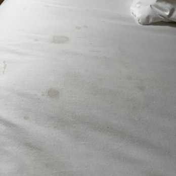 Baymont by Wyndham Metropolis - These were the sheets on my bed. Again looking like dried blood. - Hotels Near Me - Metropolis, Illinois Baymont by Wyndham Metropolis - These were the sheets on my bed. Again looking like dried blood. - Hotels Near Me - Metropolis, Illinois