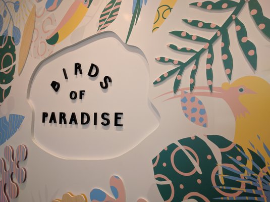 Birds of Paradise Gelato Boutique – Katong (East Coast) by null