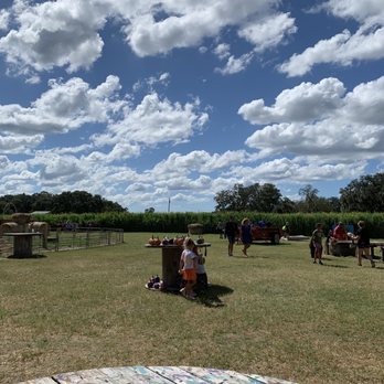 Sweetfields Farm - Pumpkin painting - Farmers Market Near Me - Masaryktown, Florida