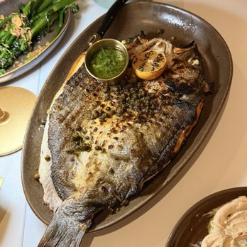 Motek - Flatiron - While branzino - Mediterranean Near Me - New York, New York Motek - Flatiron - While branzino - Mediterranean Near Me - New York, New York