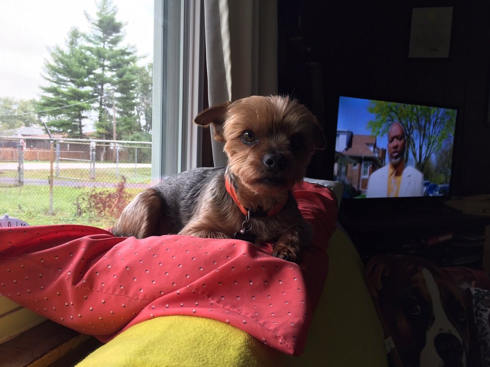 Slide of Flow Right Plumbing