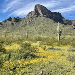 Picacho Peak Rv Resort - Beautiful views