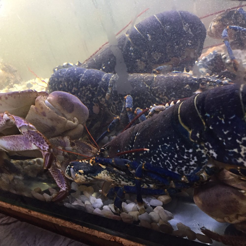 Cais ao Mar - Seafood Near Me - Lisbon, 11 Cais ao Mar - Seafood Near Me - Lisbon, 11