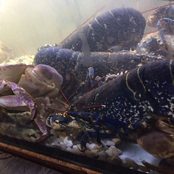 Cais ao Mar - Seafood Near Me - Lisbon, 11