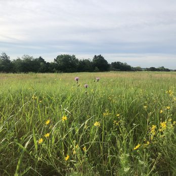 Flagpole Hill - Parks Near Me - Dallas, Texas