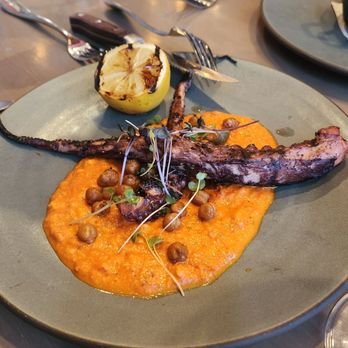 Marlena - Octopus. - Coffee & Tea Near Me - Long Beach, California Marlena - Octopus. - Coffee & Tea Near Me - Long Beach, California
