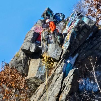 Quincy Quarries Reservation by null