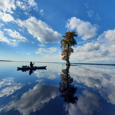 Adventure Kayak & Stand Up Paddleboard by null