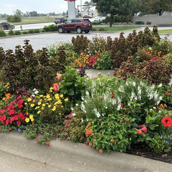 Kansas Perio - Beautiful flowers! - Cosmetic Dentists Near Me - Wichita, Kansas Kansas Perio - Beautiful flowers! - Cosmetic Dentists Near Me - Wichita, Kansas