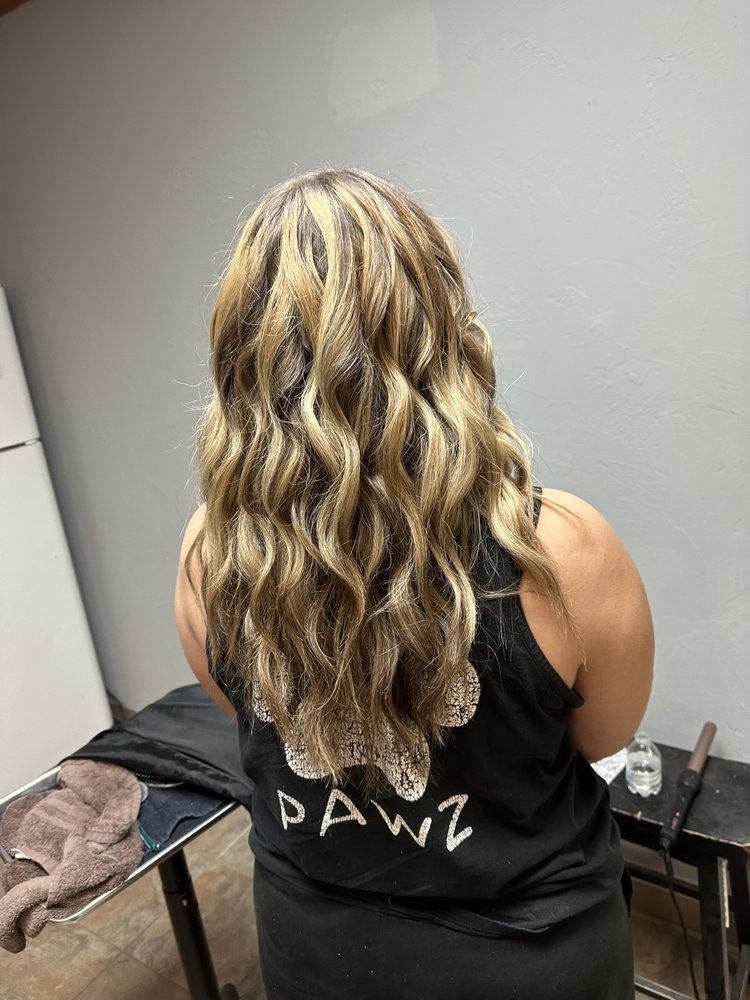 Debbies Salon Logo