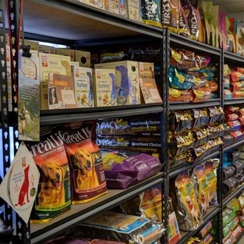 Dogology - Pet Stores Near Me - Canton, Connecticut