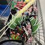 Photo of Hobby Lobby