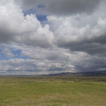 Crane Hot Springs - The view from our campsite, #4. Lots of cow neighbors beyond the fence. - Resorts Near Me - Burns, Oregon
