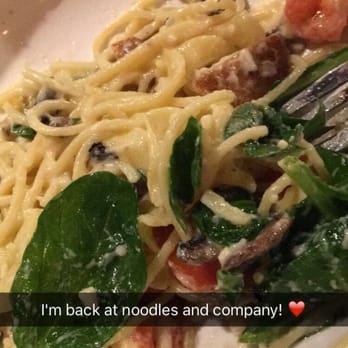 Noodles and Company - Alfredo! - Noodles Near Me - Tempe, Arizona Noodles and Company - Alfredo! - Noodles Near Me - Tempe, Arizona