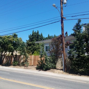 California Tree Design - After - Tree Services Near Me California Tree Design - After - Tree Services Near Me