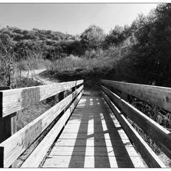 The Olinda Bridge-your adventure begins.