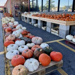 The Home Depot - Pumpkins have arrived for Fall 2026!