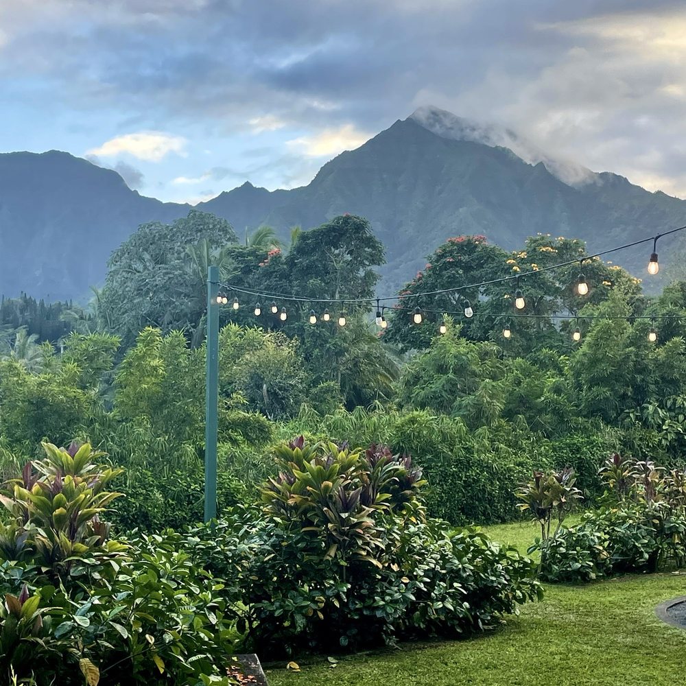 Ama - Can't beat the view - Cocktail Bars Near Me - Hanalei, Hawaii Ama - Can't beat the view - Cocktail Bars Near Me - Hanalei, Hawaii