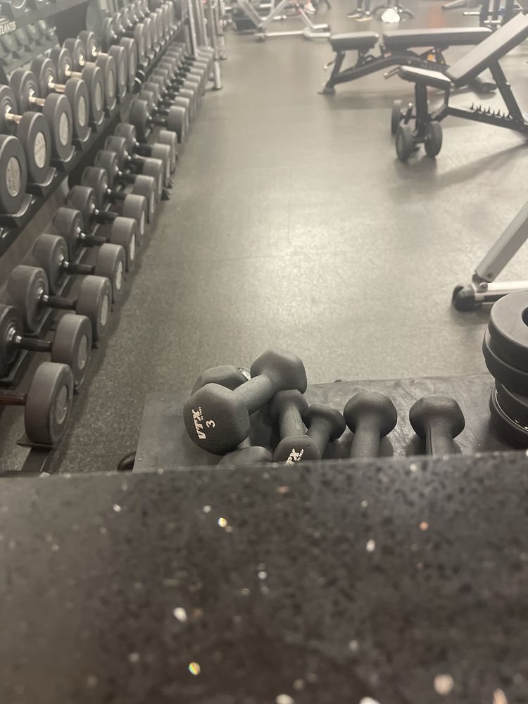 ProActive Strength Training Logo