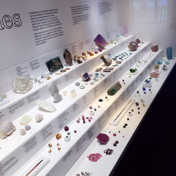 Australian Museum - Museums Near Me - Sydney, NSW Australian Museum - Museums Near Me - Sydney, NSW