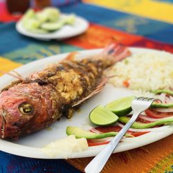Restaurante Puerto Angelito - Thanksgiving fish dinner beachside! Best Thanksgiving EVER!!! :)...