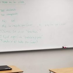 School of Language Arts - Basic information