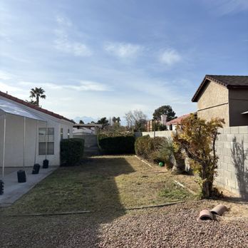 Las Vegas Yard Services - Backyard was a complete overgrown jungle and they made it beautiful again. - Lawn Services Near Me Las Vegas Yard Services - Backyard was a complete overgrown jungle and they made it beautiful again. - Lawn Services Near Me