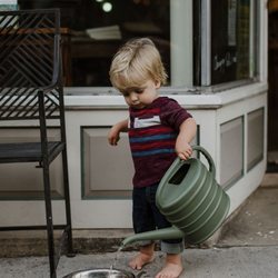 Salida Books - Oliver was nominated for employee of the month in July, for his dedication to clean dog water.