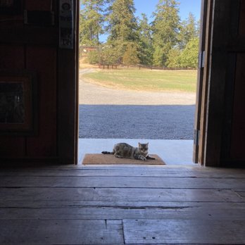 Amaro Farm - Nabisco keeping watch - Farms Near Me - Friday Harbor, Washington