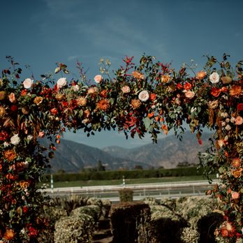 Something's Blooming - Florists Near Me Something's Blooming - Florists Near Me