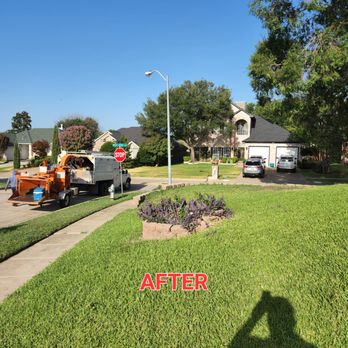 Hernandez Tree Care - before and after - Landscaping Near Me Hernandez Tree Care - before and after - Landscaping Near Me