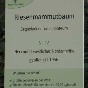 Baum-Welt-Pfad - Active Life Near Me - Trier, RP