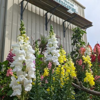 Earth Creations Landscaping - Landscaping Near Me - Galveston, Texas