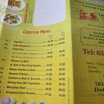 Hunan Palace Chinese Restaurant - Chinese Near Me - Elmhurst, Illinois Hunan Palace Chinese Restaurant - Chinese Near Me - Elmhurst, Illinois