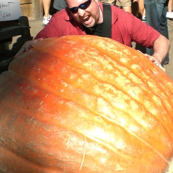 High Hill Ranch - I EAT PUMPKIN! - Donuts Near Me - Placerville, California High Hill Ranch - I EAT PUMPKIN! - Donuts Near Me - Placerville, California