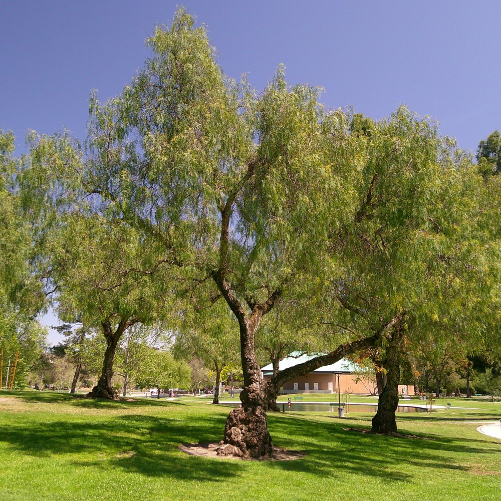 Ralph B Clark Regional Park - Parks Near Me - Buena Park, California Ralph B Clark Regional Park - Parks Near Me - Buena Park, California