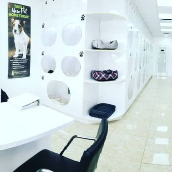 Epic Puppies - Pet Breeders Near Me - Miami, Florida