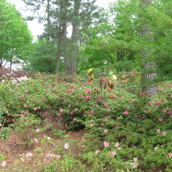 WRAL Azalea Gardens - Botanical Gardens Near Me - Raleigh, North Carolina