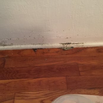 Vienna Property Management - mold - Property Management Near Me - Rocklin, California Vienna Property Management - mold - Property Management Near Me - Rocklin, California