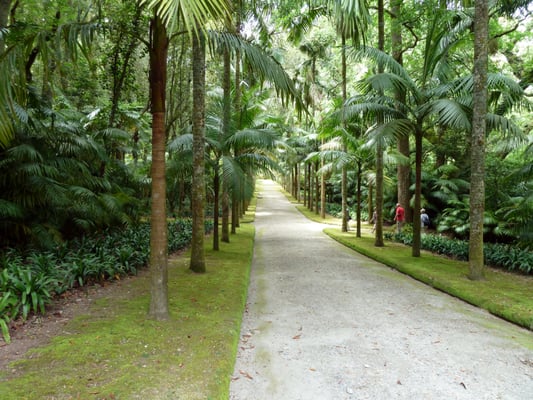 Terra Nostra Garden Hotel by null