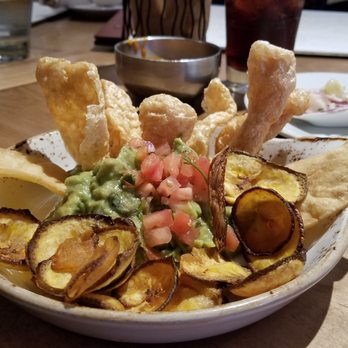 Jaguar Restaurant - Coconut Grove - Guacamole - Latin American Near Me - Miami, Florida Jaguar Restaurant - Coconut Grove - Guacamole - Latin American Near Me - Miami, Florida