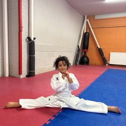 Premier Taekwondo - Mirfield
