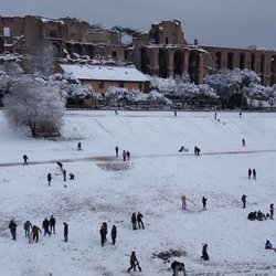 Transfer & Tour Roma