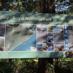 Royal National Park - April 2025