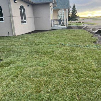 K9 Cleanup - Commercial lawn cutting - Pet Services Near Me